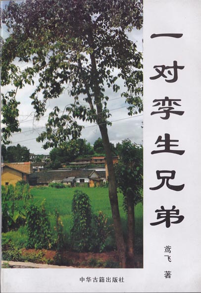一对孪生兄弟