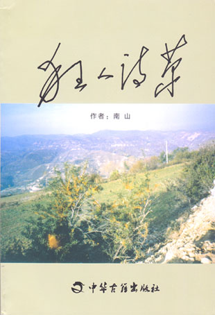 狂人诗草