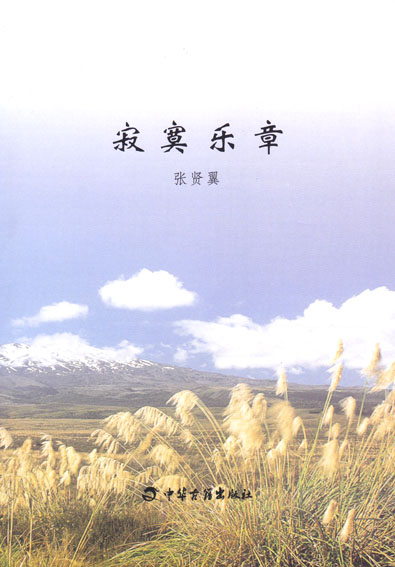 寂寞乐章