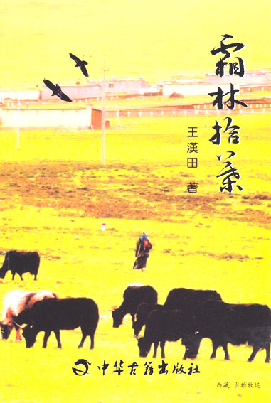 霜林拾叶