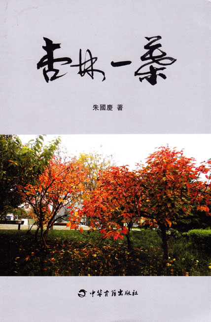 杏林一叶