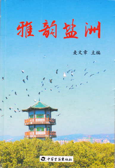 雅韵盐洲