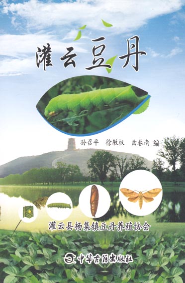 灌云豆丹