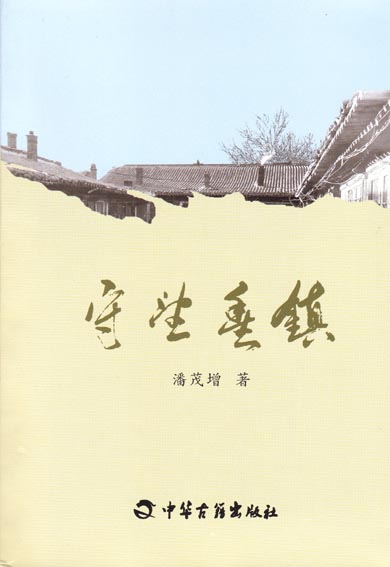 守望丰镇