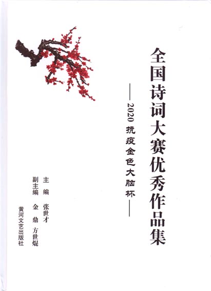 全国诗词大赛优秀作品集