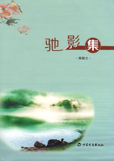 驰影集
